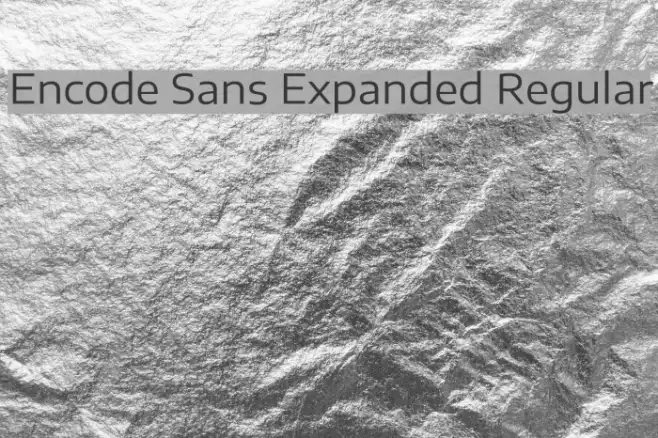 Encode Sans Expanded Regular Example 3