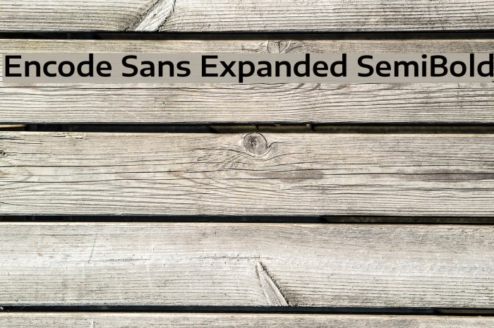 Encode Sans Expanded SemiBold Example 1