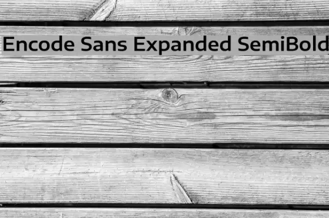 Encode Sans Expanded SemiBold Font examples
