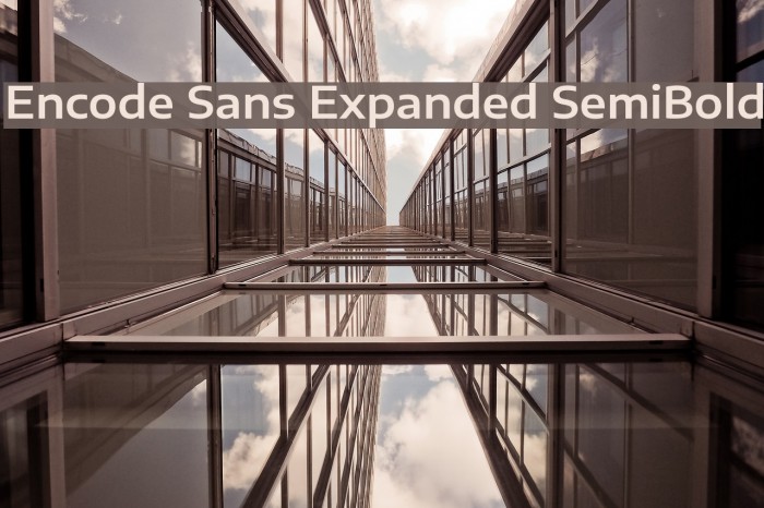 Encode Sans Expanded SemiBold Example 2