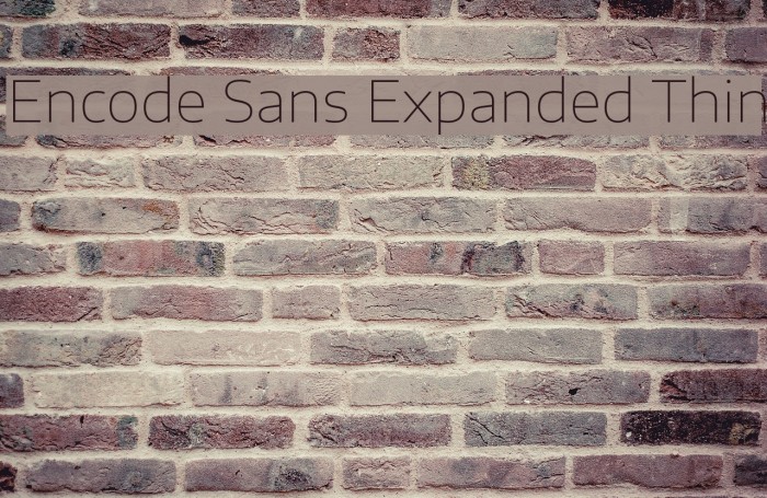 Encode Sans Expanded Thin Font examples