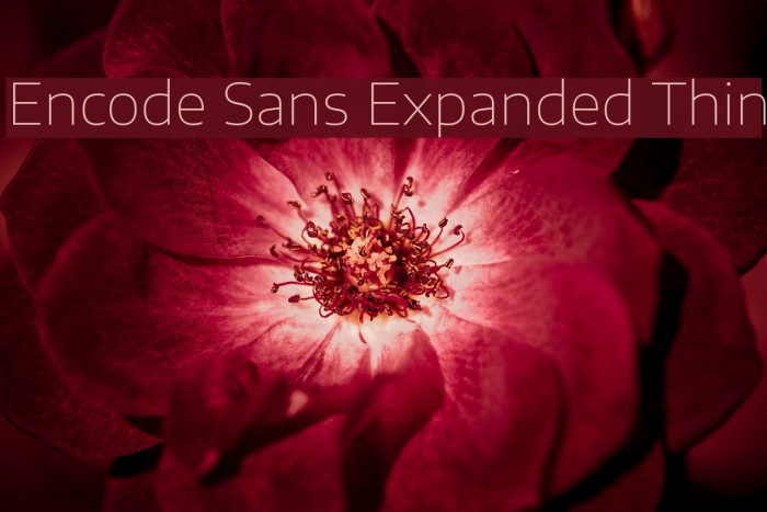 Encode Sans Expanded Thin Font examples