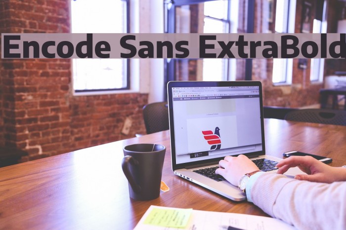 Encode Sans ExtraBold Font examples