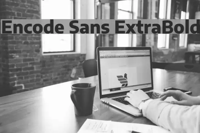 Encode Sans ExtraBold Font examples
