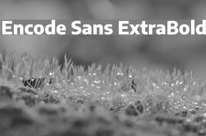 Encode Sans ExtraBold Font examples