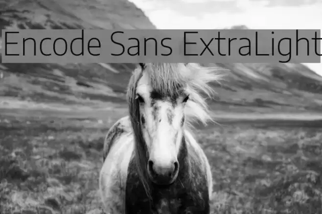 Encode Sans ExtraLight フォント examples