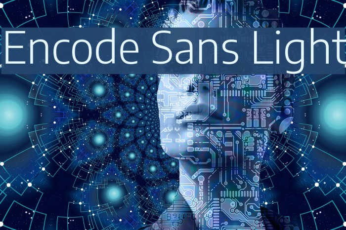 Encode Sans Light フォント examples