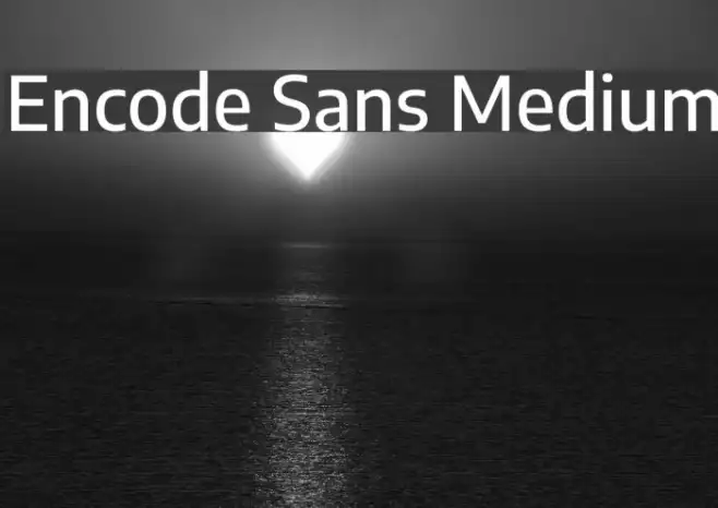 Encode Sans Medium Example 2