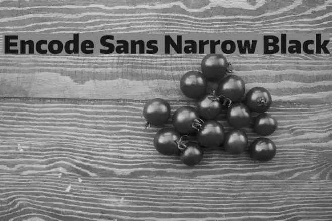Encode Sans Narrow Black Example 2