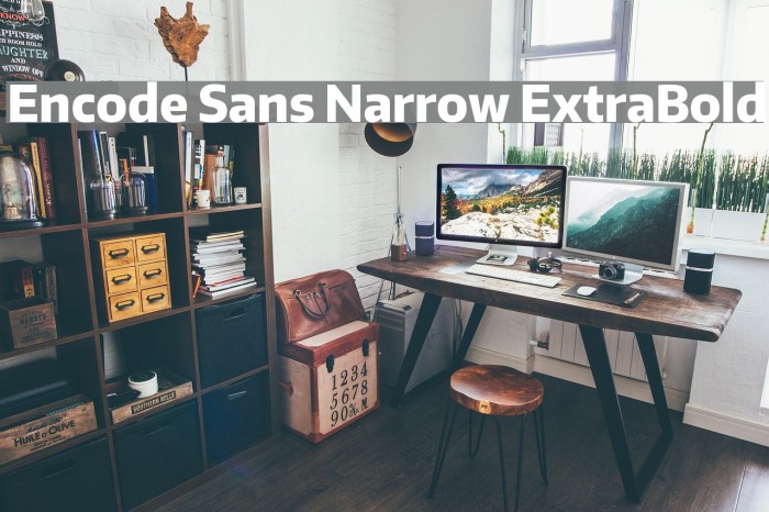 Encode Sans Narrow ExtraBold Font examples