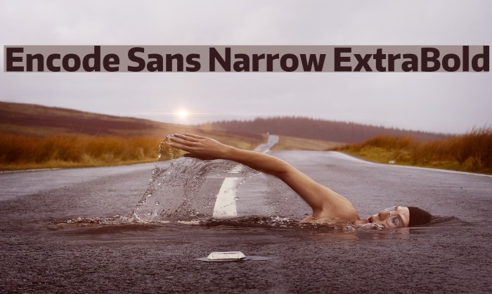 Encode Sans Narrow ExtraBold Font examples