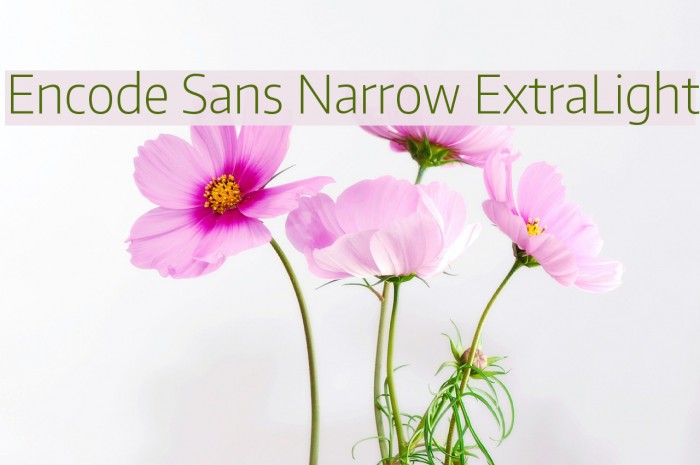 Encode Sans Narrow ExtraLight Font examples