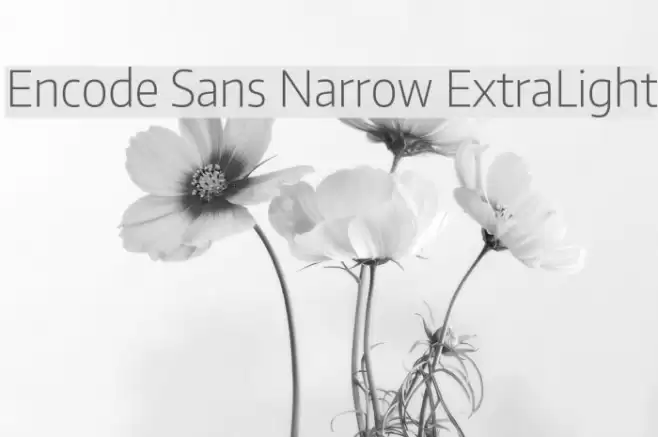 Encode Sans Narrow ExtraLight Font examples
