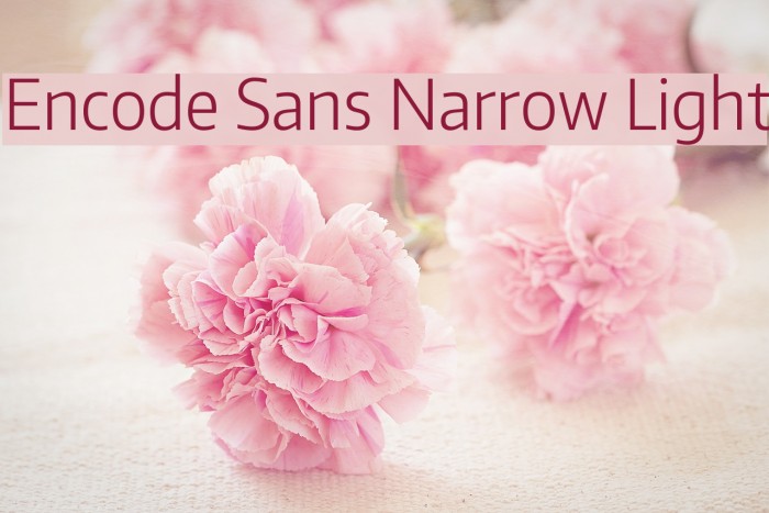 Encode Sans Narrow Light Font examples