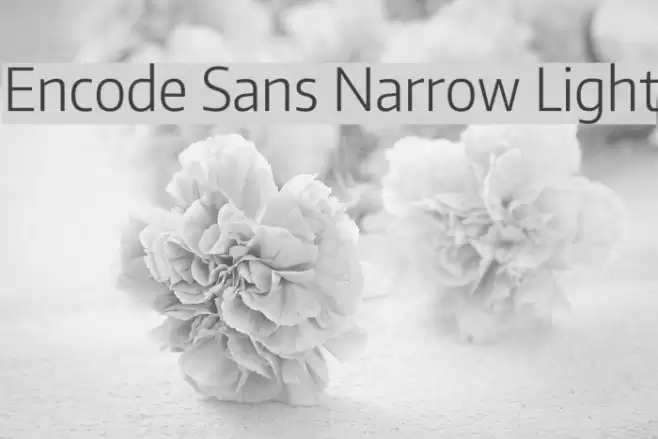 Encode Sans Narrow Light  examples