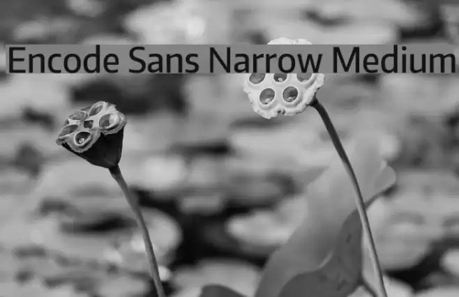 Encode Sans Narrow Medium Font examples