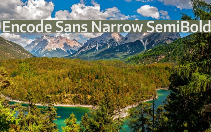 Encode Sans Narrow SemiBold Font examples