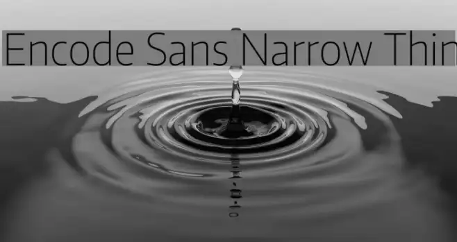 Encode Sans Narrow Thin Example 1