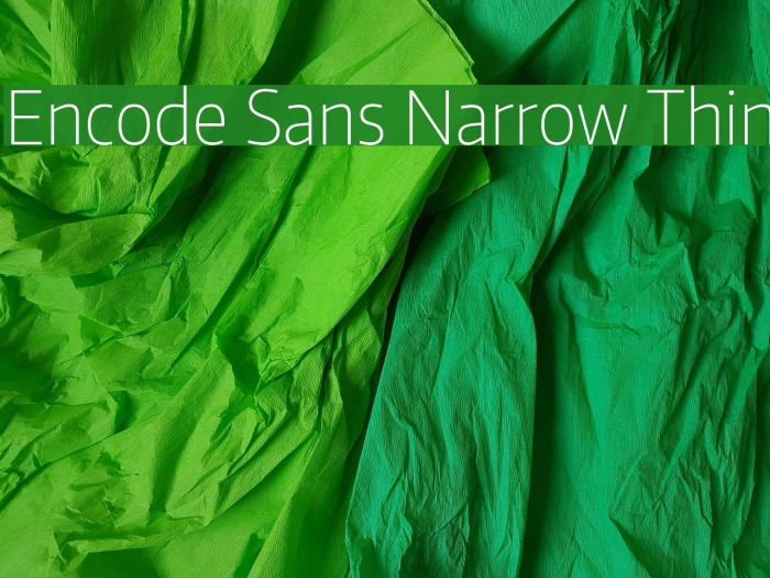 Encode Sans Narrow Thin Font examples