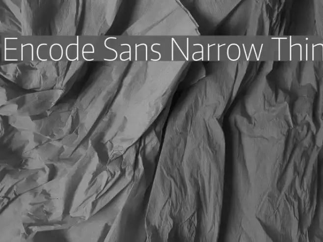 Encode Sans Narrow Thin Example 2