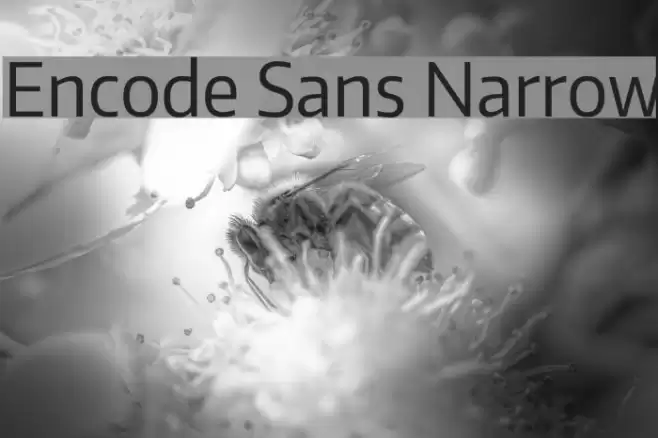 Encode Sans Narrow Font examples