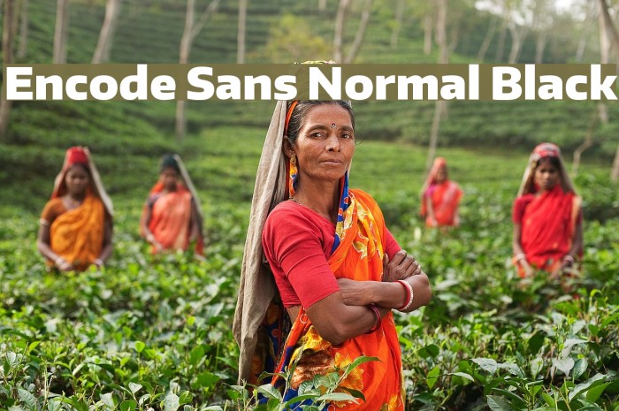Encode Sans Normal Black Font examples