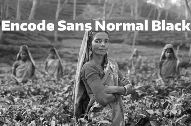 Encode Sans Normal Black Font examples