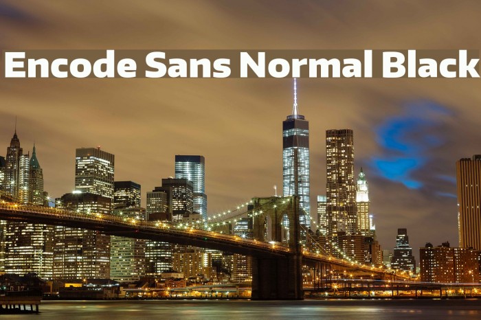 Encode Sans Normal Black Font examples