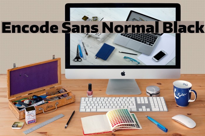 Encode Sans Normal Black Font examples