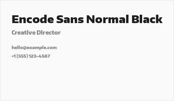 Encode Sans Normal Black Business Card