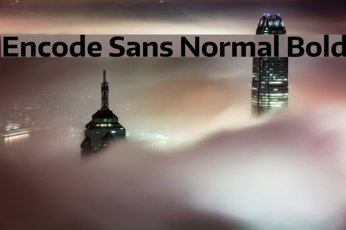 Encode Sans Normal Bold Font examples
