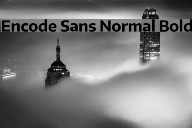 Encode Sans Normal Bold Example 1