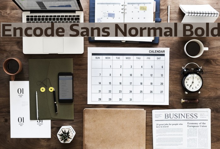 Encode Sans Normal Bold Font examples