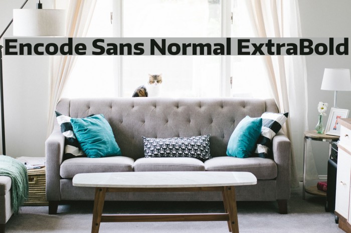 Encode Sans Normal ExtraBold Example 3