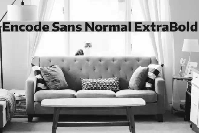 Encode Sans Normal ExtraBold Font examples