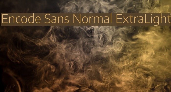 Encode Sans Normal ExtraLight Example 1