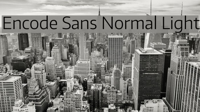Encode Sans Normal Light Font examples