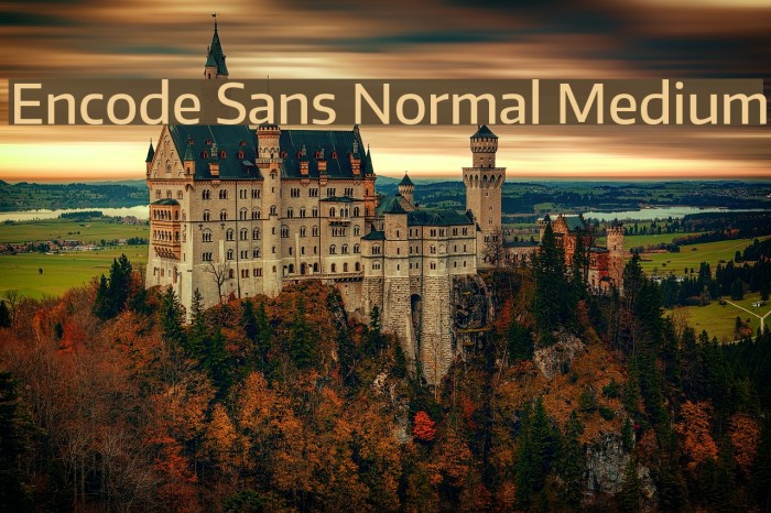 Encode Sans Normal Medium Example 1