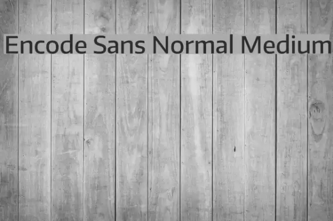 Encode Sans Normal Medium Font examples