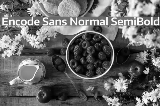 Encode Sans Normal SemiBold Font examples