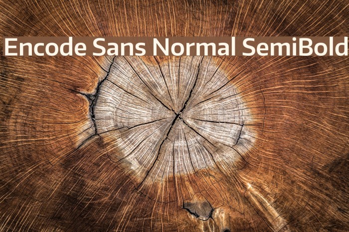 Encode Sans Normal SemiBold Font examples