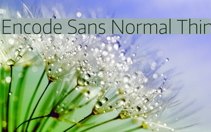 Encode Sans Normal Thin Font examples