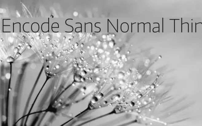 Encode Sans Normal Thin Example 1