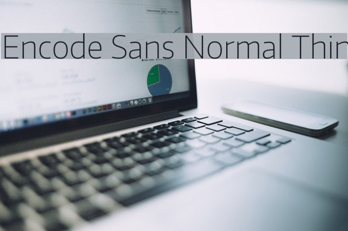 Encode Sans Normal Thin Font examples