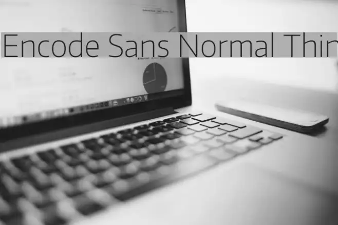 Encode Sans Normal Thin Example 3