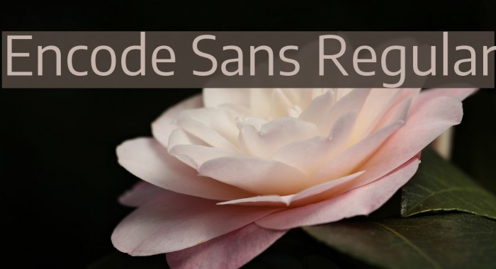 Encode Sans Regular Font examples