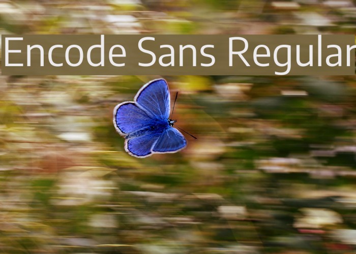 Encode Sans Regular Font examples