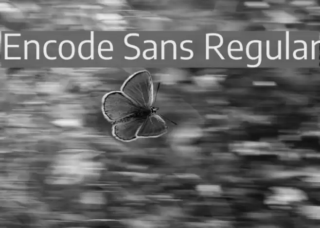 Encode Sans Regular フォント examples