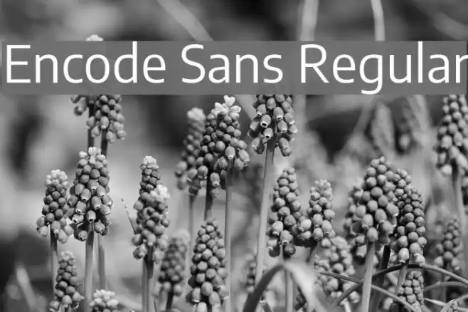 Encode Sans Regular フォント examples