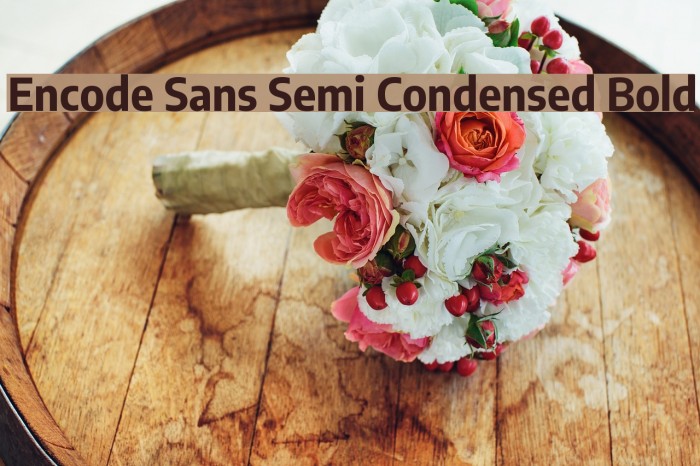 Encode Sans Semi Condensed Bold Font examples